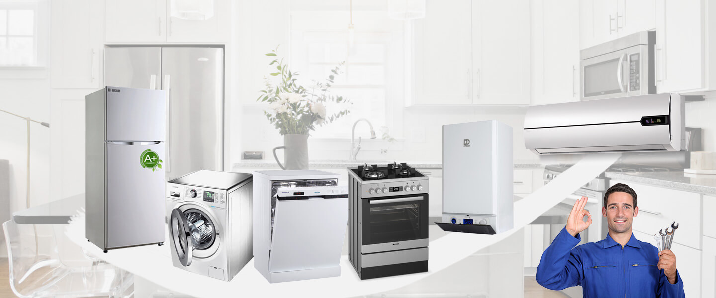 Mihalıççık Electrolux Servisi